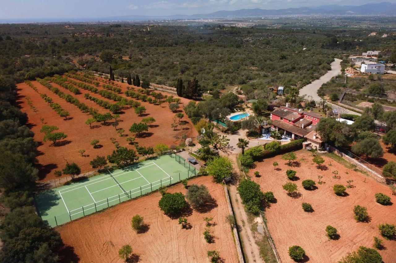 Monsebo, Pool Tennis & Minigolf Algaida (Mallorca)